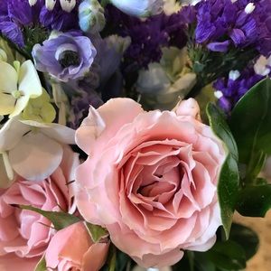 Meet your Posher, Anna